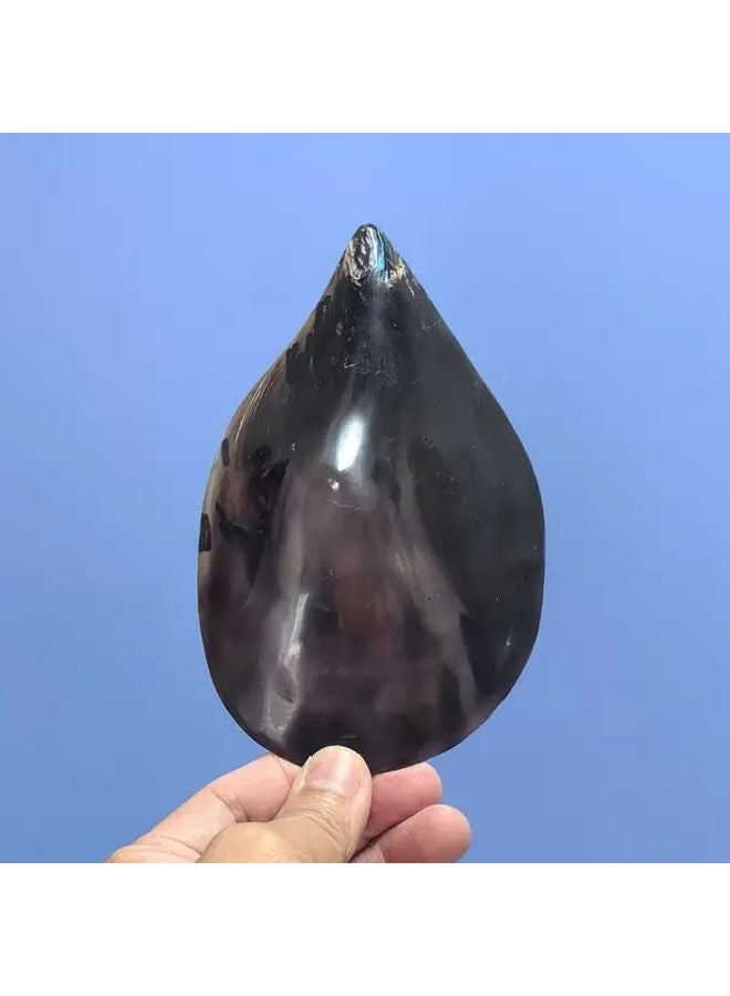 قوقعة بقرة كبيرة ملونة بالحبر، ديكور حوض أسماك على الطراز المتوسطي مصنوع يدويًا - Image 4